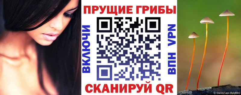 Псилоцибиновые грибы мицелий  Туринск 